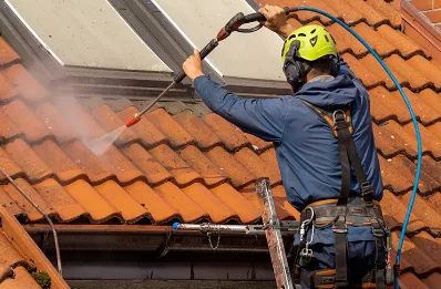 Démoussage et hydrofuge de toiture à Lamontélarié